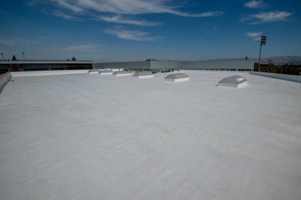Best Roof Leak Repair  in Moapa Valley, NV
