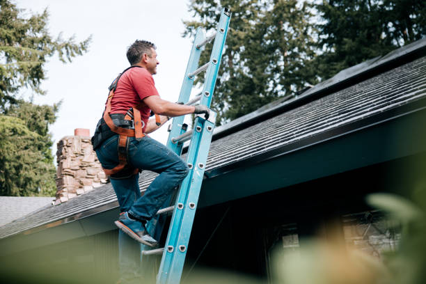 Best Roof Ventilation Installation  in Moapa Valley, NV